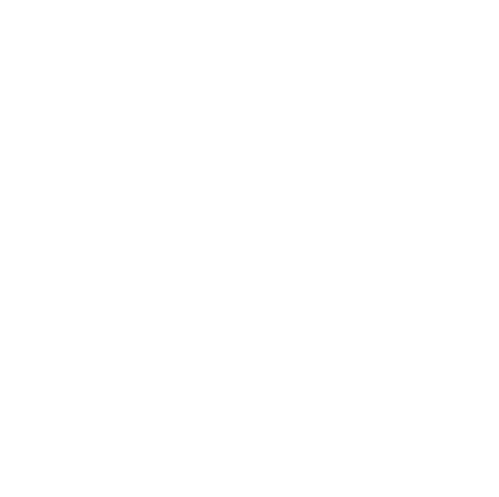 Lash Perfect Logo
